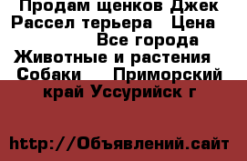 Продам щенков Джек Рассел терьера › Цена ­ 25 000 - Все города Животные и растения » Собаки   . Приморский край,Уссурийск г.